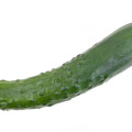Double dildo