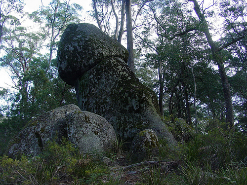 cock rock