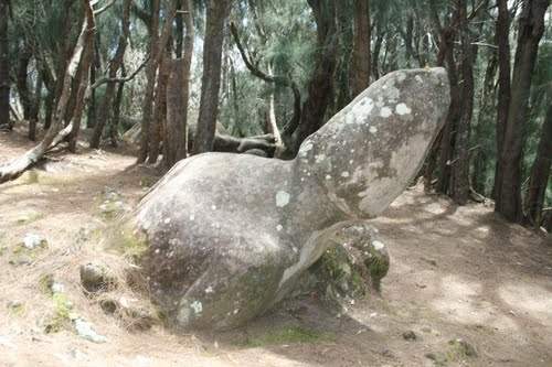 kaule nanao a